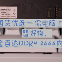 国货优选—你电脑上的平替好物，金百达DDR4 2666内存条