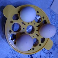早餐煮鸡蛋，营养又便捷