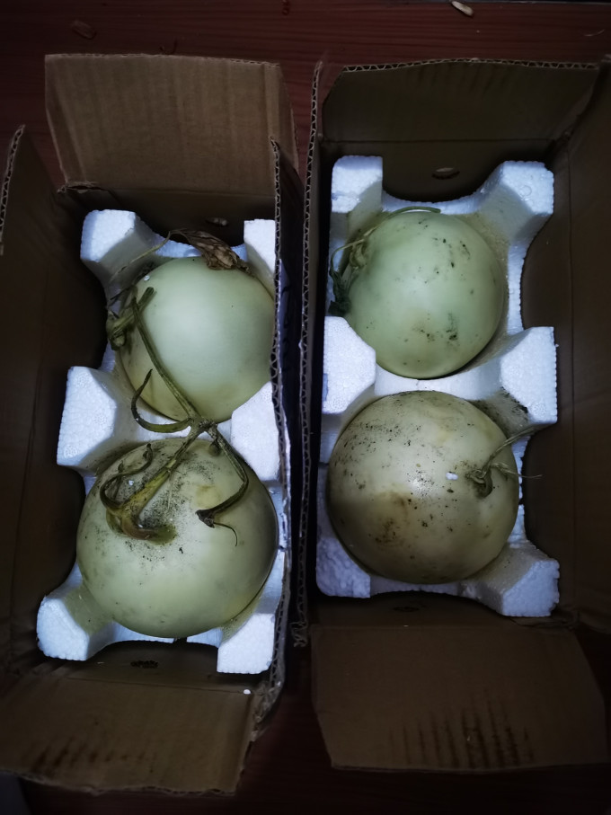 吃瓜了阎良甜瓜