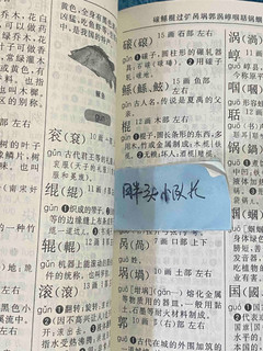 老少皆宜，绝不踩雷，中华字典