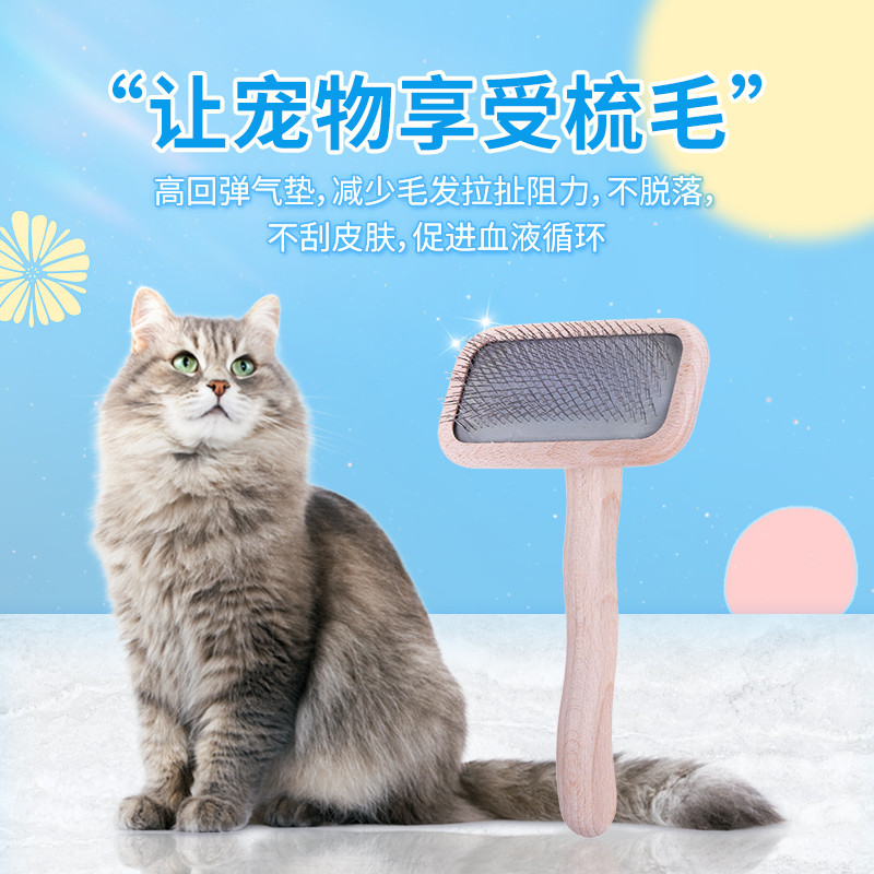 猫狗梳子，针梳横向测评（工具狗：比熊）