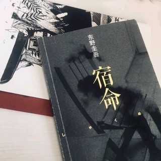 我心中的yyds东野圭吾作品/宿命