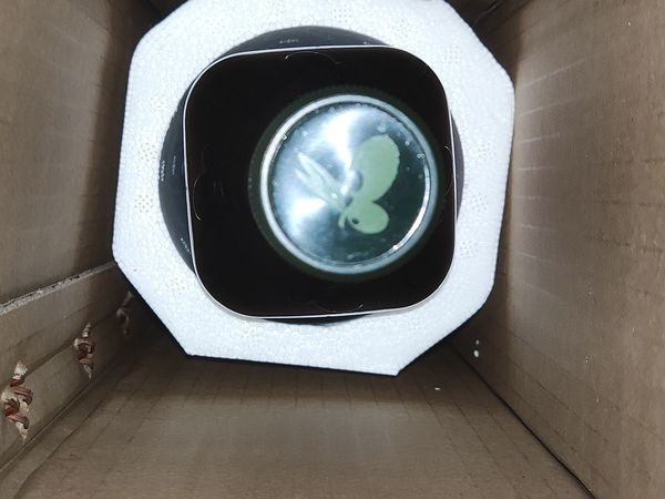 第一次见橄榄油，原来是这样的