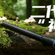 首发测评！老蛙新一代“神鞭”24mm T14 2X，微距还要会“转角”！