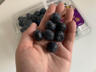 爆浆蓝莓好过瘾