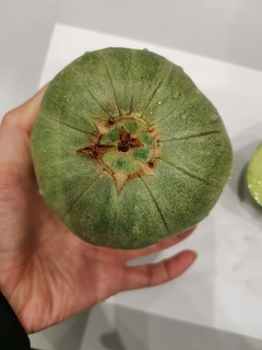 绿宝石香瓜