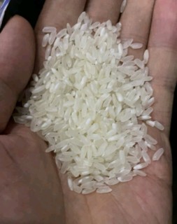 好吃的大米