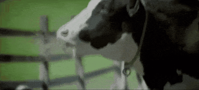  新手爸妈怎么挑选宝宝奶粉？附精选国产奶粉清单～