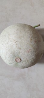 玉菇香瓜有啥特征？