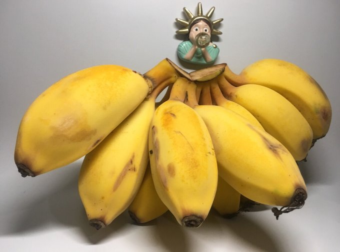 讨厌苹果和香蕉却无法抗拒苹果味小胖蕉