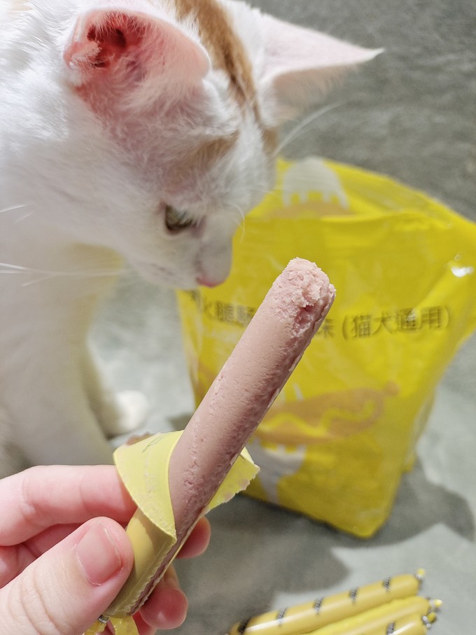 猫犬通用零食