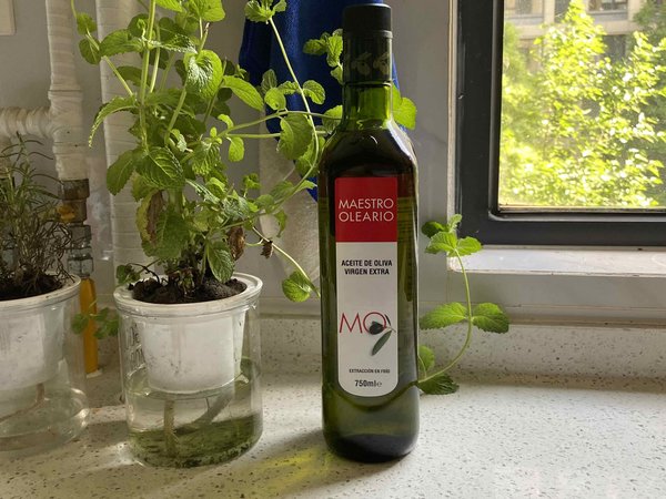 伊斯特帕榨橄榄油，让我煎蛋的味道登峰造极