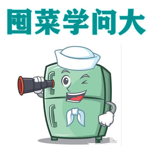 囤菜学问大，蔬菜水果替代品一览