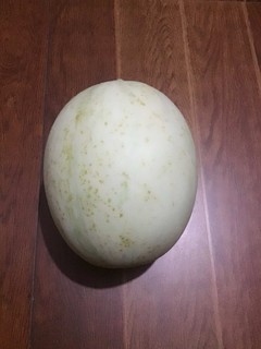 甜瓜🍈甜瓜