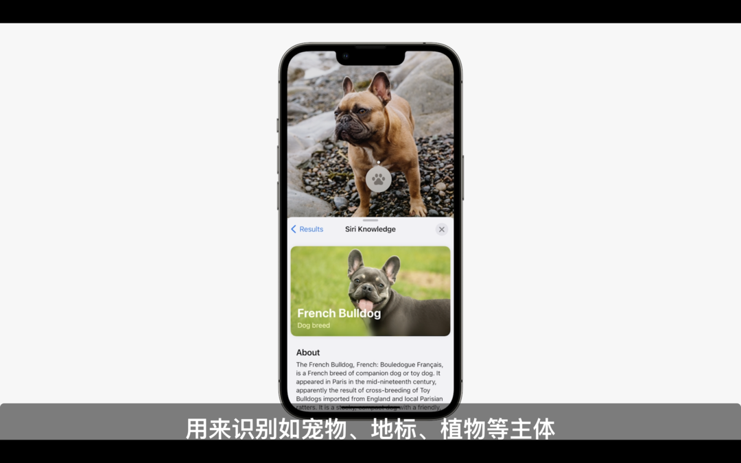 苹果 iOS 16 正式发布：锁屏交互升级、兼容设备一览