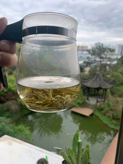 谢裕大黄山毛峰绿茶太好喝了