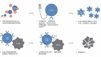 保险选购指南 篇三十七：重疾多次赔有必要吗？不分组赔6次，告诉你一款优秀的多次赔付重疾险什么样