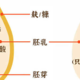 全麦面包是智商税吗？可以减肥吗？几款个人觉得不错的全麦面包推荐