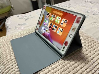 上一代游戏机iPad mini 5