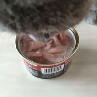 希宝 海鲜汤汁系列 猫罐头
