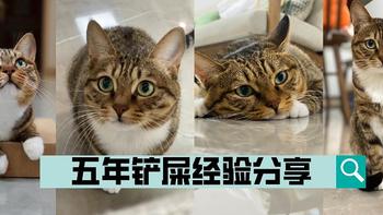 写给新手铲屎官：同样是养猫，为什么我家整洁又干净？小猫咪乖巧又听话？养宠五年经验大分享