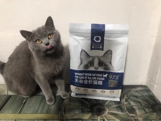 给猫咪买的猫粮