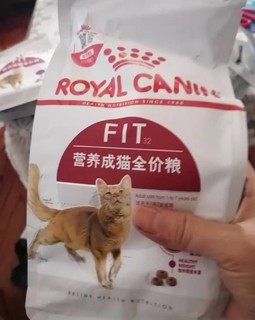 宠物特别爱吃的猫粮