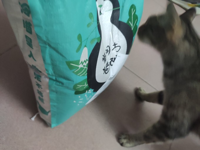 猫砂