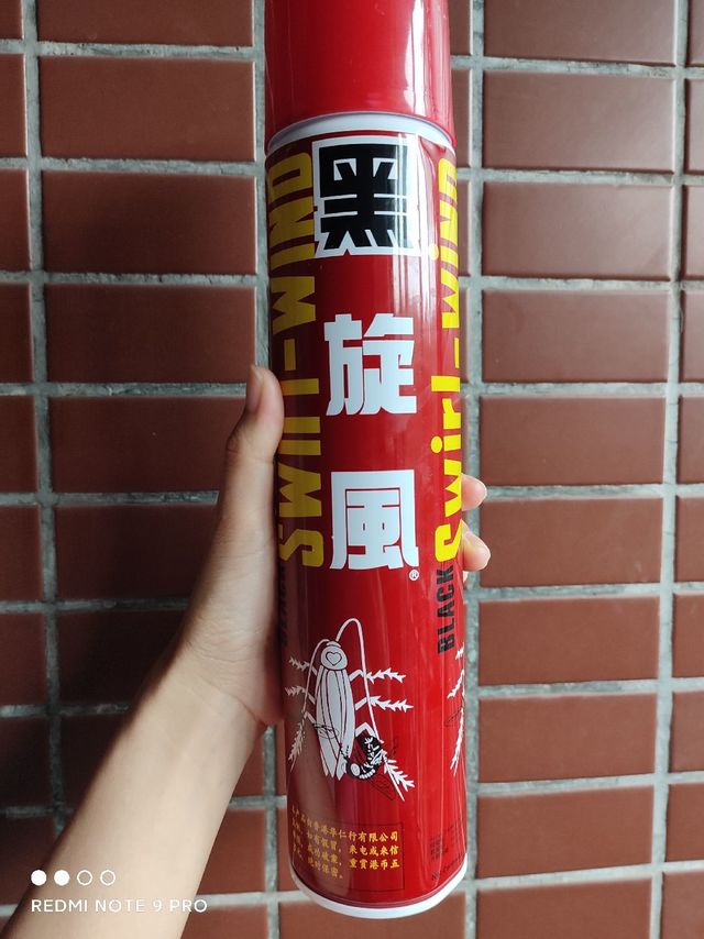 造孽啊，被一只蟑螂吓得在沙发睡了一晚