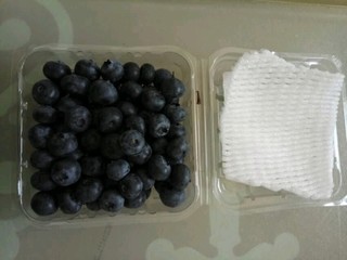 云南蓝莓
