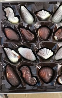 贝壳型巧克力