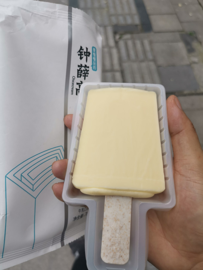 钟薛高冰淇淋/雪糕