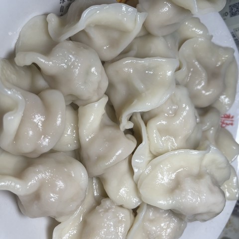 理象国的水饺值不值得买