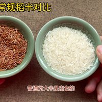 红糙米从一粒米到一碗粥，颗粒饱满饭香十足