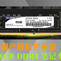 电脑折腾全纪录 篇七：国产颗粒也不错 光威 8GB DDR4 笔记本内存