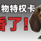【薛定谔】京东宠物特权卡，月月省30，东哥亏麻了！