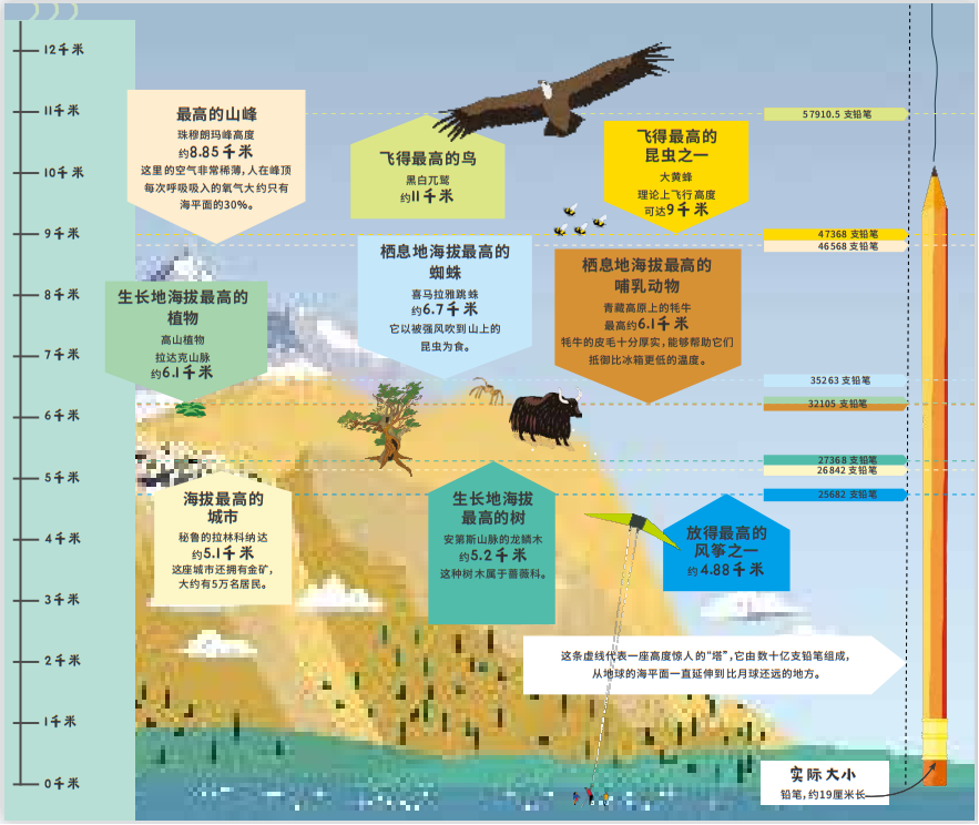 暑假一定要看这本童书，不知不觉提升数理思维！