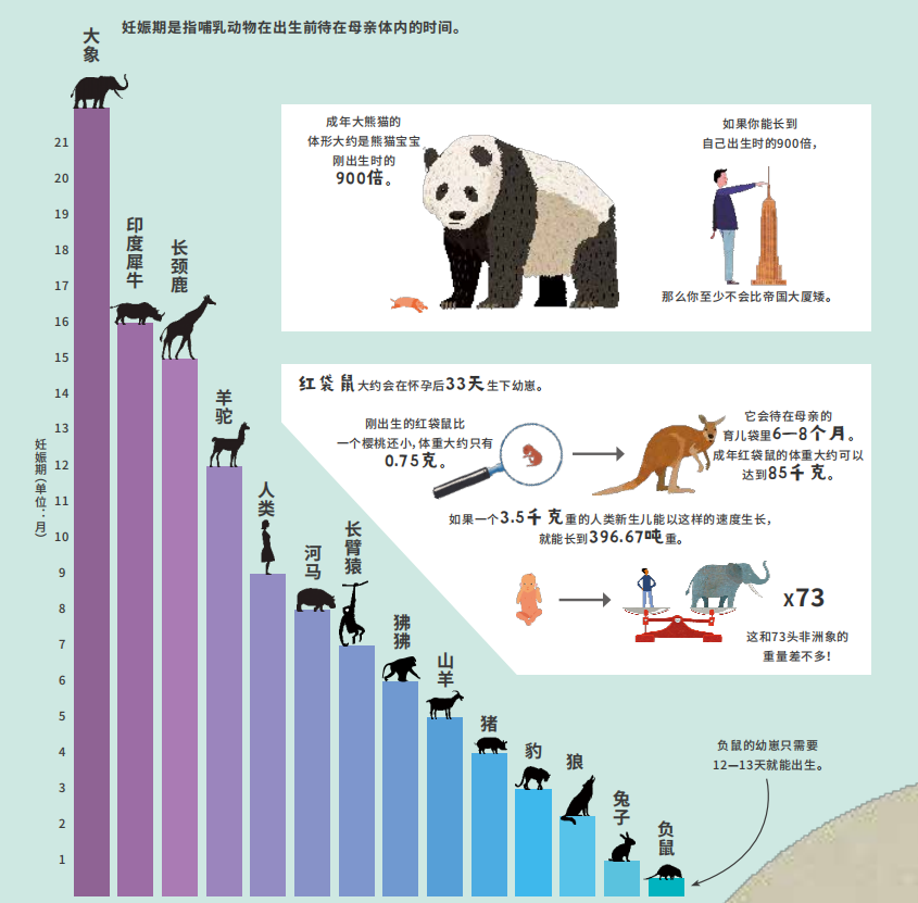 暑假一定要看这本童书，不知不觉提升数理思维！