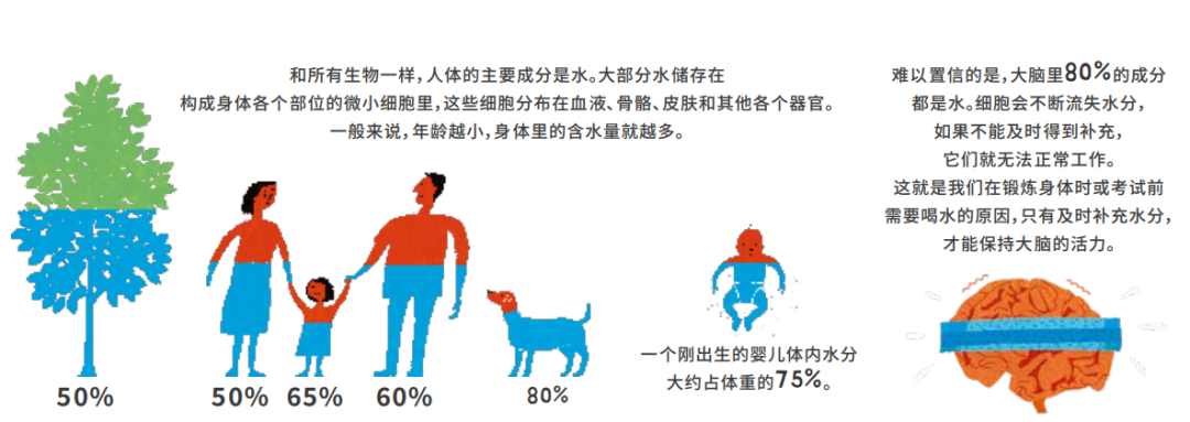 暑假一定要看这本童书，不知不觉提升数理思维！