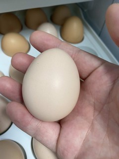 白piao的鸡蛋谁不爱