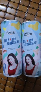 欢乐家生榨椰子汁245ml*12罐