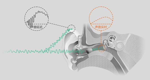 父母的听力障碍千万别忽视，这些知识你必须要知道