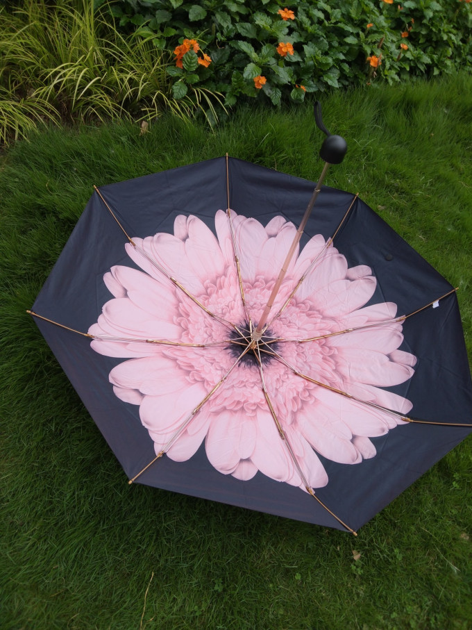 cmon雨伞怎么样 伞昨天收到咯,很快呢.伞很漂亮._什么值得买