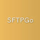Unraid SFTPGo 搭建与使用：兼具多功能与自定义的高性能SFTP服务
