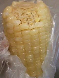 速冻白糯玉米