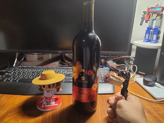 是兄弟一起喝！——吉卡斯金鹊喜干红葡萄酒