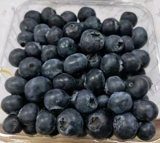 高山鲜蓝莓