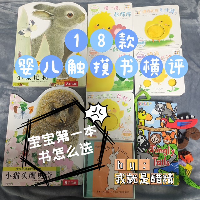 宝宝的第一本书怎么选？均价不足20元，18款婴儿触摸书横评（多图预警！）