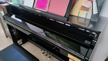 艺术类 篇一：卡西欧GP510跨界钢琴使用感受