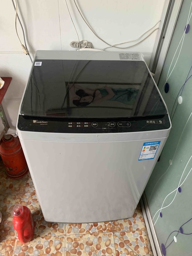 小天鹅洗衣机